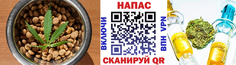 мориарти телеграм  Северодвинск  Еда ТГК конопля 