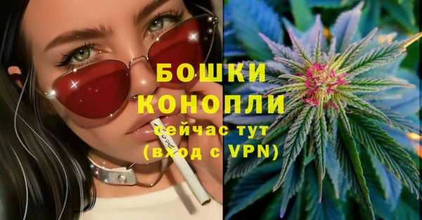 гидра Медногорск