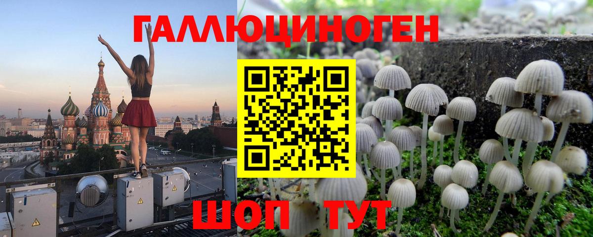 Галлюциногенные грибы Psilocybe Северодвинск