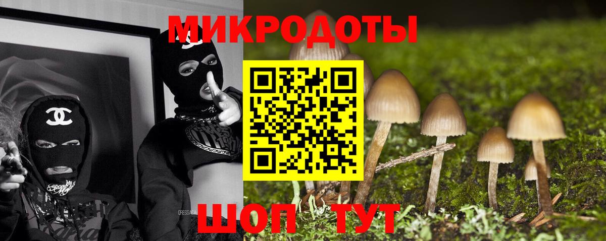 Северодвинск  Псилоцибиновые грибы мухоморы  Псилоцибиновые грибы GOLDEN TEACHER  Вход с VPN 