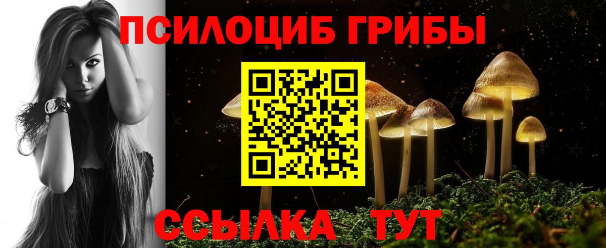 Псилоцибиновые грибы Cubensis  Северодвинск 